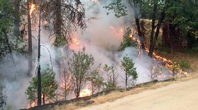 Cal OES Director Secures Funds to Assist Response Agencies Battling Mission Fire in Madera County