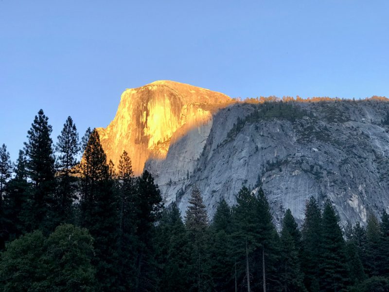 Podcast #51: Yosemite National Park After the Ferguson Fire