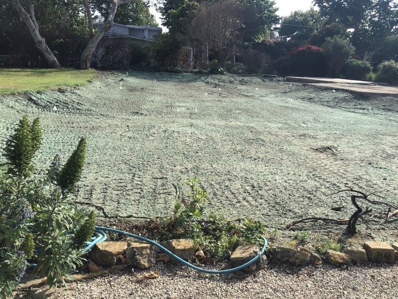 Final Inspection Reports for All 926 Properties Participating in State’s Debris Removal Program Submitted to Local Officials