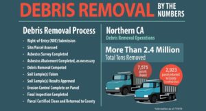 Debris removal infographic