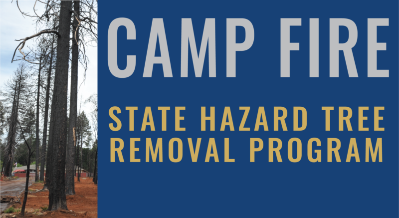 FEMA Approves Funding to Remove Hazard Trees on Eligible Private Roadways Within the Camp Fire Burn Scar