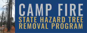 State Hazard Tree Removal Program