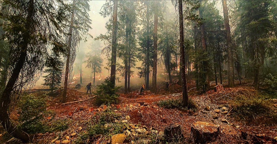 Prolonged Fire Weather Forces Temporary Closure of 10 California National Forests