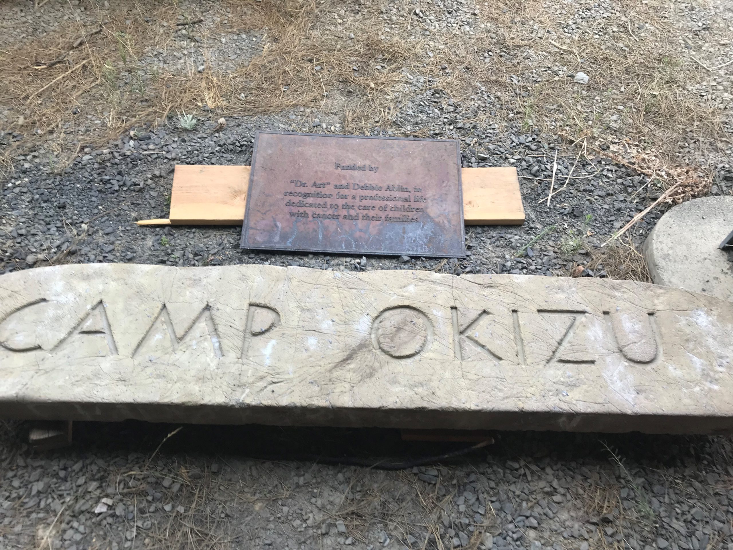 Camp Okizu sign