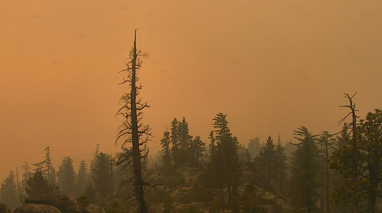 SOBREVIVIENTES DE INCENDIOS DEBEN TENER CUIDADO CON ESTAFADORES