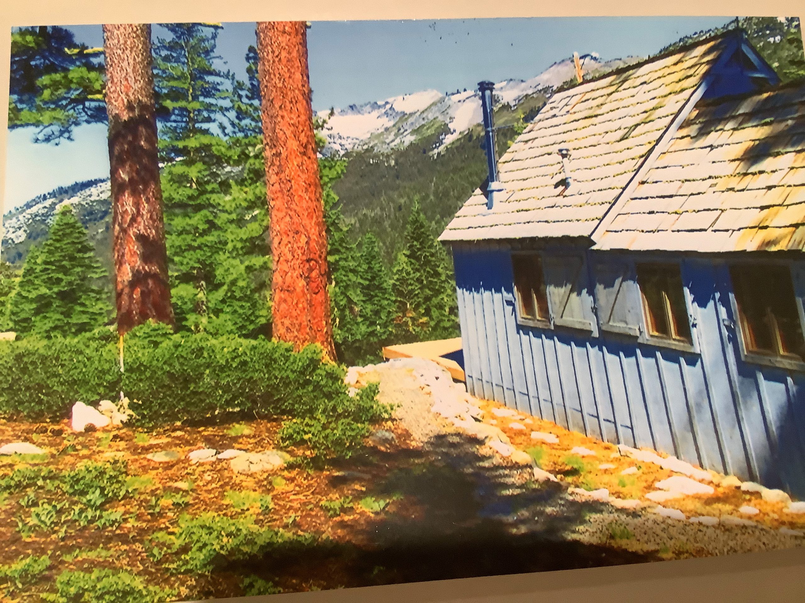 A blue cabin that sits next to large trees with a background of green forest