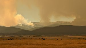 New Mexico wildfires