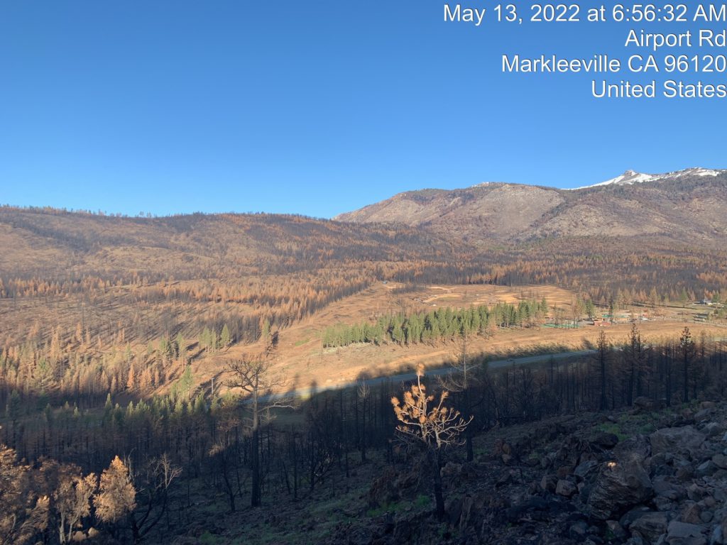 View of Markleeville in Alpine County During Tree-Felling Operations