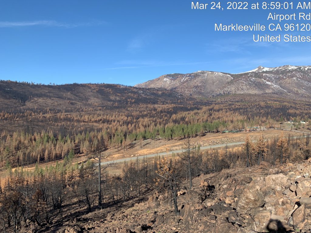 View of Markleeville After Tree-Felling Operations