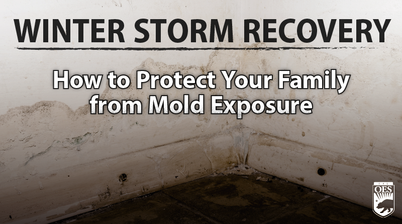 Winter Storm Recovery: How to Protect Your Family from Mold Exposure
