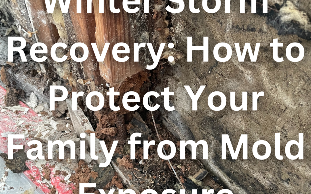 Winter Storm Recovery: How to Protect Your Family from Mold Exposure