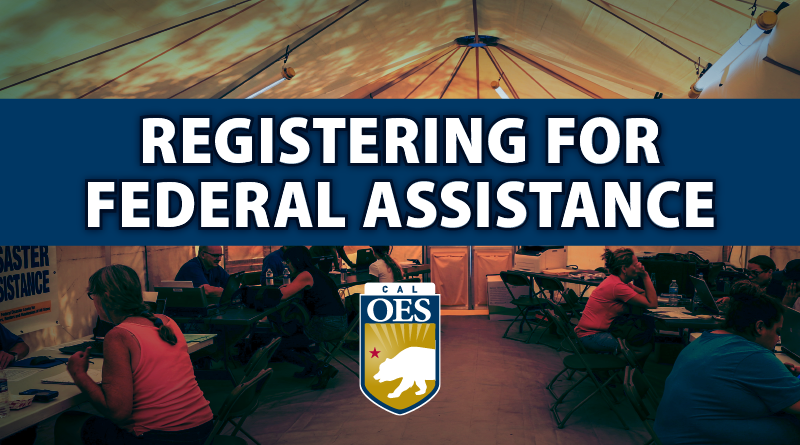 What Individuals Can Expect After Registering for Federal Assistance