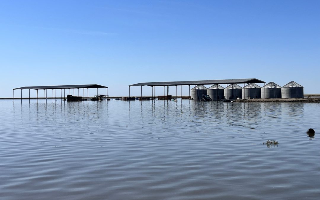 SERIE: MITIGANDO LOS RIESGOS en zonas propensas a inundación