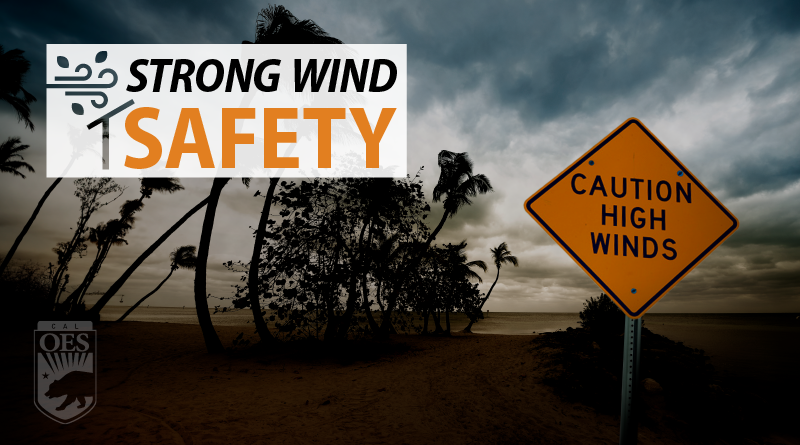 Hurricane Preparedness: Safeguarding Against High Winds