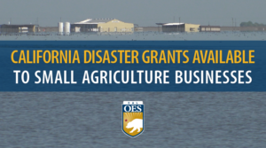 A graphic reading, "CALIFORNIA DISASTER GRANTS AVAILABLE TO SMALL AGRICULTURE BUSINESSES." There's a Cal OES logo below the text. The logo and text are in front of a flooded farm.