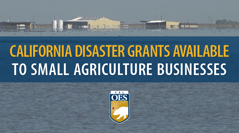 California Opens Funding to Support Small Agricultural Businesses Impacted by Severe Weather