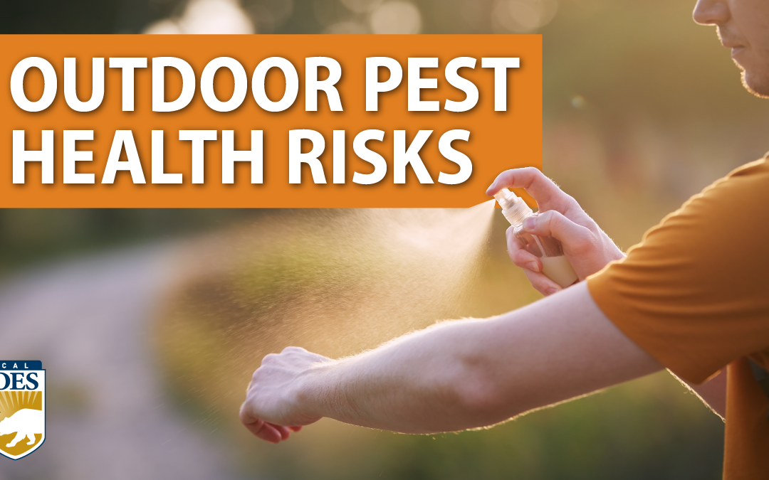 Outdoor Pest Health Risks