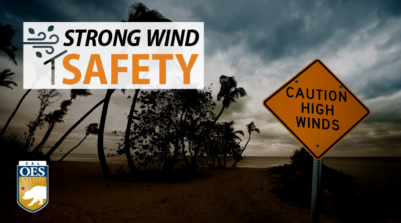 Put Safety First: What to Know During High Wind Events