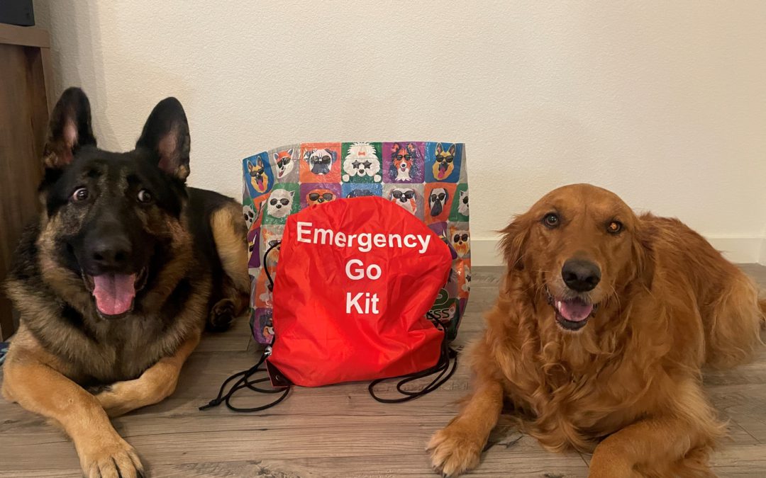 Prepare your Pet during September as Emergency Preparedness Month