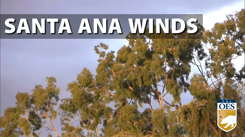 Impending Santa Ana Winds Bring Increased Fire Risk to Southern California