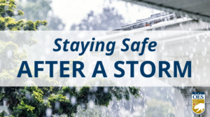 A background of rain falling, a house gutter and a tree limb. Blue text against a white semi-transparent background reads "Staying Safe After a Storm." There is a Cal OES logo in the bottom right corner.