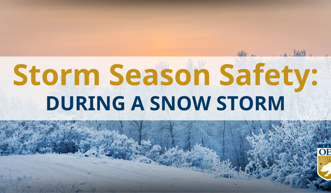 Storm Season Safety: During a Snow Storm