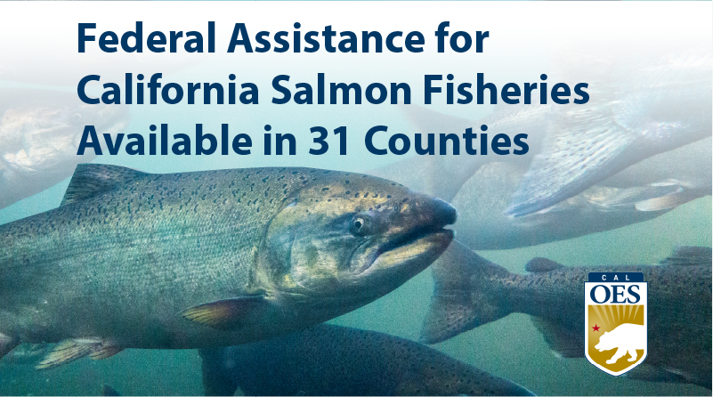 Federal Assistance for California Salmon Fisheries available in 31 Counties