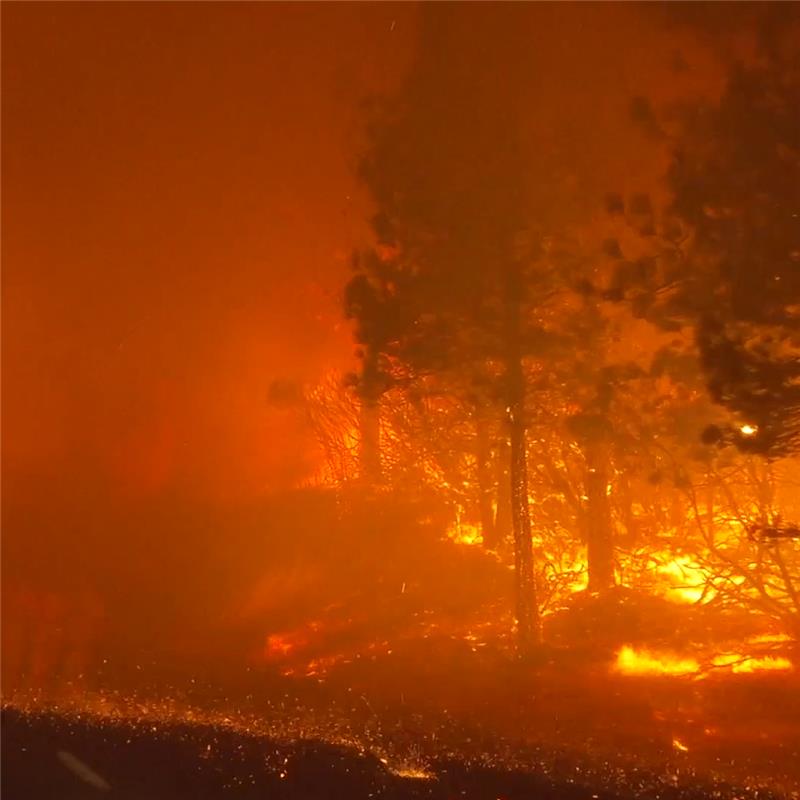 An image of a wildfire in a California forest, with only the outlines of trees visible among the flames.