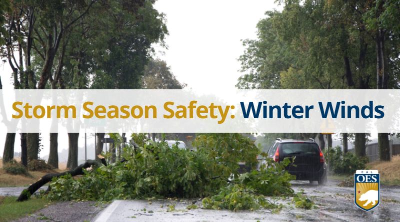 What to Expect During Winter Storm Winds 