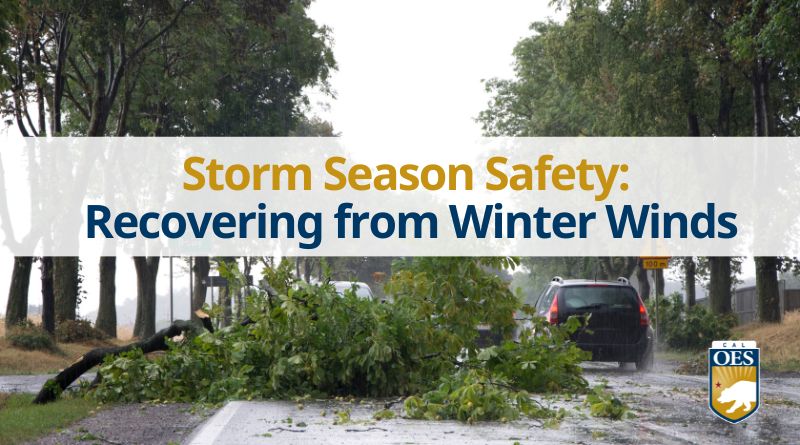 Safety Steps to Keep in Mind Following Winter Winds