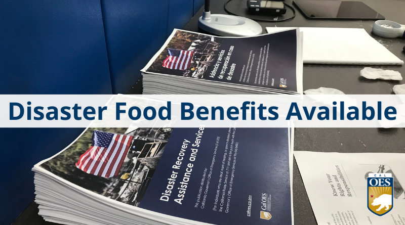 Food Benefits Available for People Impacted by Late January 2024 Storms