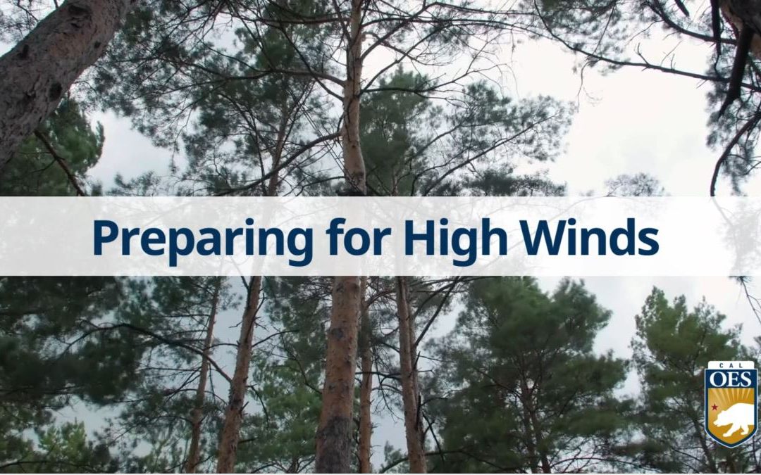 What to do if High Winds are Affecting You