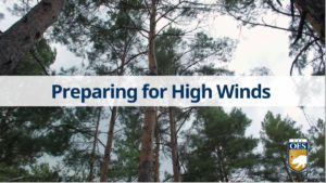 Preparing for High Winds