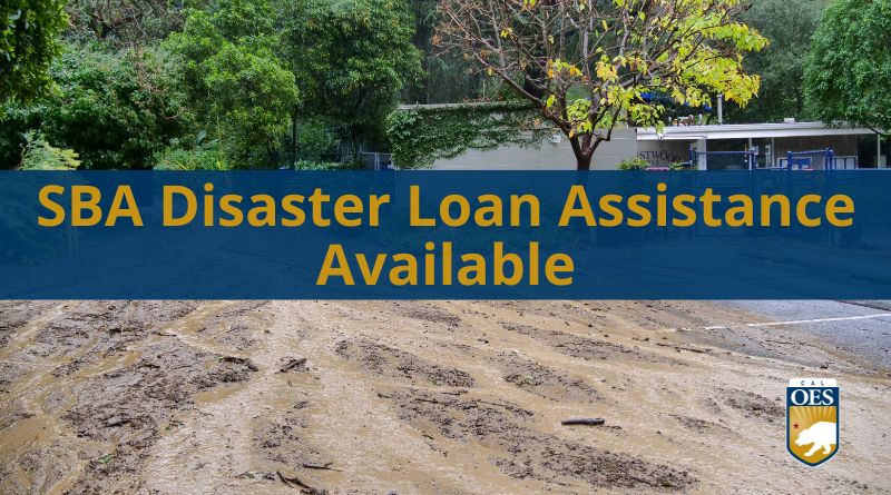 Disaster Assistance Loans Available to Businesses and Residents Affected by the Jan. 31 to Feb. 9 Storms