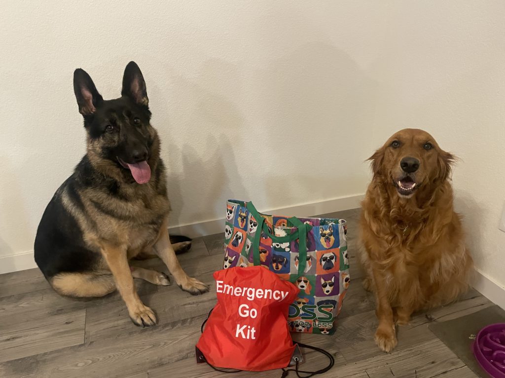 Two Dogs with an emergency bag
