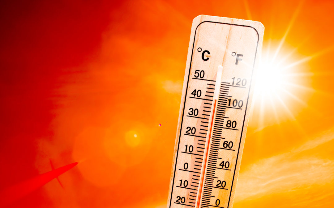 Triple-Digit Heat is on the Way, Here’s How to Stay Safe