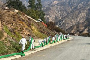 long line of CCC workers walking down a canyon road with a long green compost sock draped over their shoulders