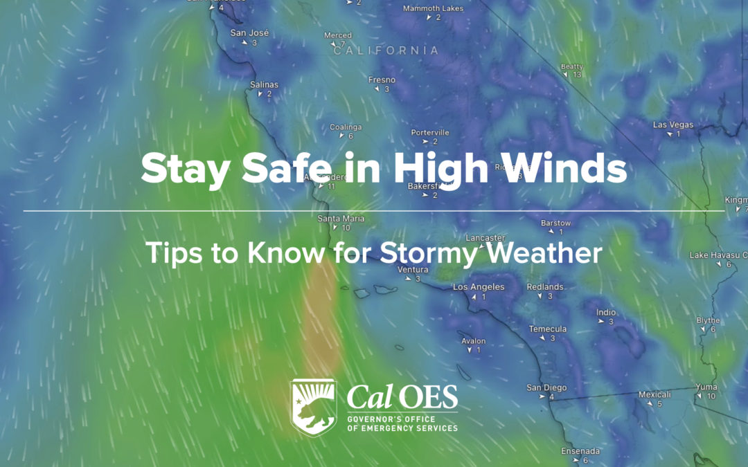 What to do during a high wind event