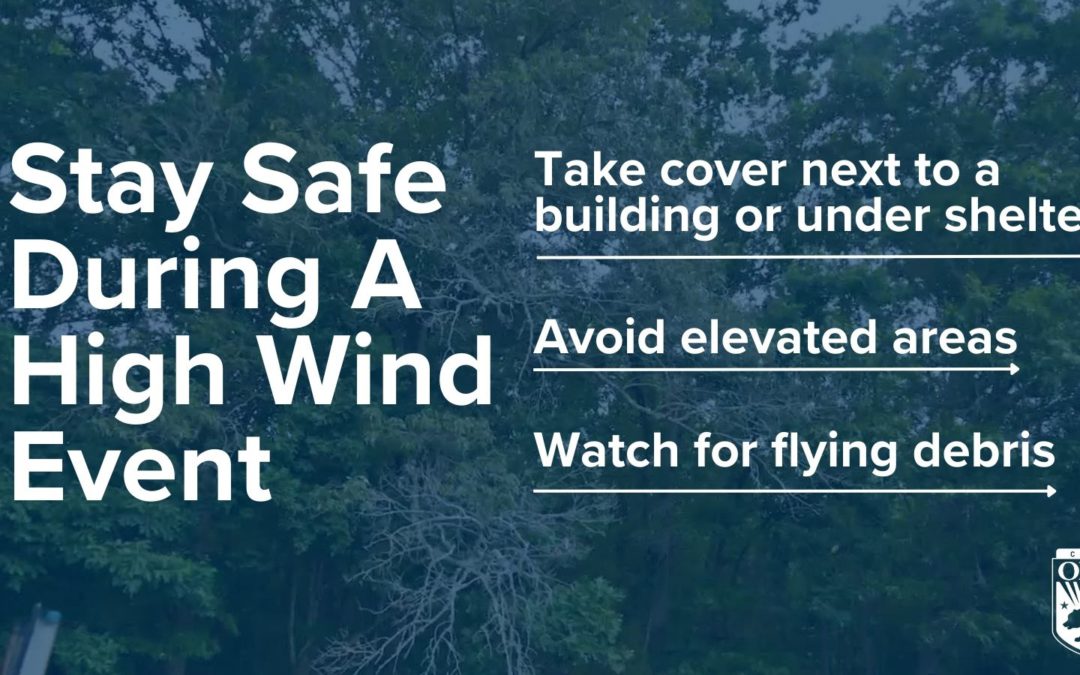 High Wind in your Neighborhood? What you need to know.